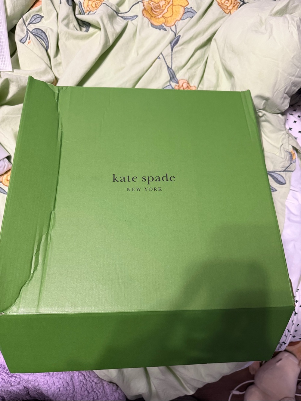 Shoebox Only - Subcategory Unclear